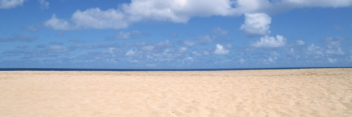 奈良のカーリースおすすめ15社徹底比較｜月額・車種・維持費で選ぶ